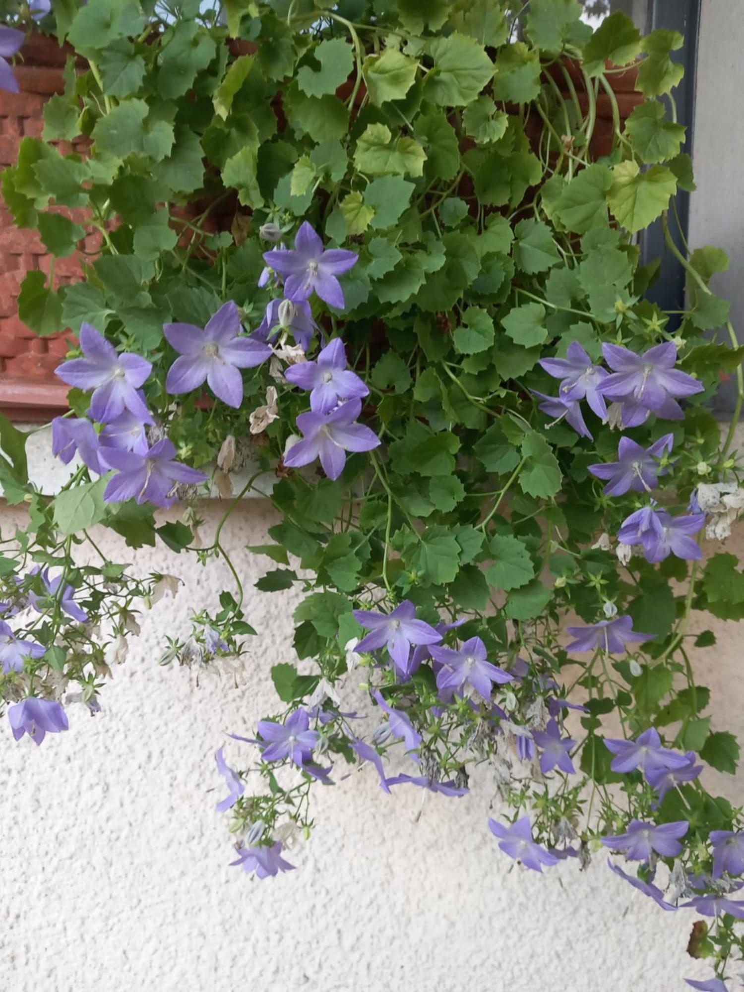 La Casa Di Tina -
